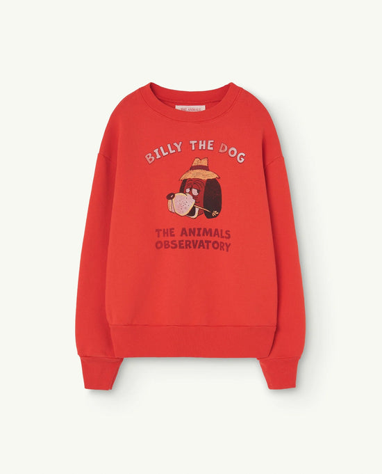 The Animals Observatory Red Bear Sweatshirt