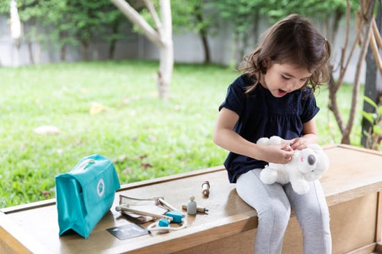 PlanToys Veteriner Seti